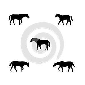 Walking horse silhouette vector