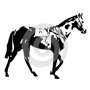 Walking horse, vector illustration