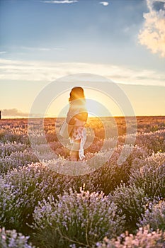 Walking through lavender rows at sunset. Young beautiful woman in dress standing in lavender field at golden summer