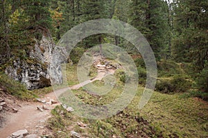 Walking long a peaceful mountain path in Valle di Funes into the Italian Dolomites