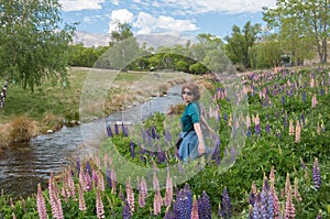 Walking on Lupines field