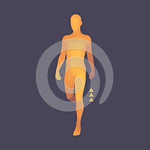 Walking Man. 3D Human Body Model. Design Element. Vector Illustration.