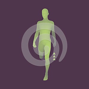 Walking Man. 3D Human Body Model. Design Element. Vector Illustration.