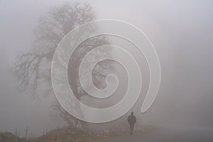 Walking man on a misty morning