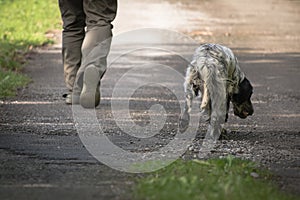 Walking man`s feet and hunting dog back view, recreation concept