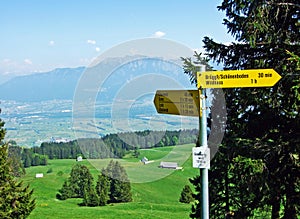 Walking and marked trails on the slopes of the Alpstein massif and in the Rhine valley Rheintal, Gams - Canton of St. Gallen