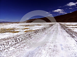 Walking in the middle of antofalla salar