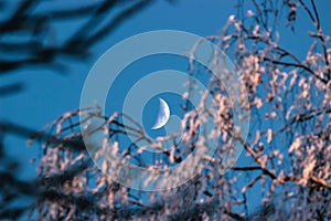 Walking with the moon