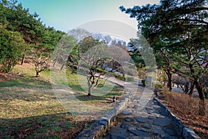 Walking mountains trail, back side of Gimhae National Museum