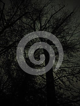 Random night pics, nightstreets