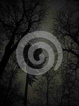 Random night pics, nightstreets