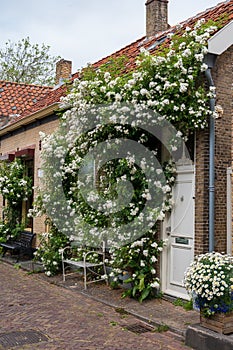 Walking in old Dutch town Zierikzee with old small houses and streets