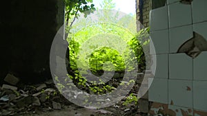 Walking through old house without windows and doors overgrown with weeds.