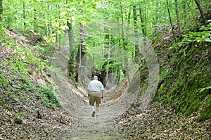 Walking old Natchez Trace U.S.A.