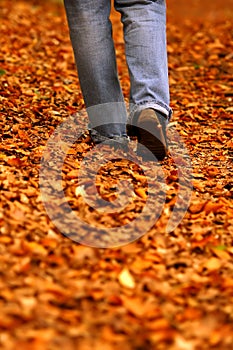 Walking through park