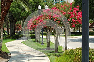 Walking in the park.