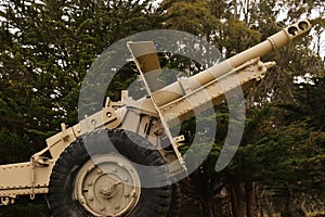 Walking park green millitary cannon