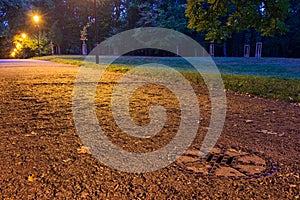 Walking in the park by night