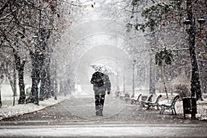 Walking in the park during snow