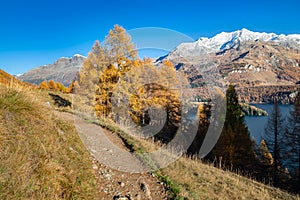 Walking path along Lake Sils in Switzerland in autumn