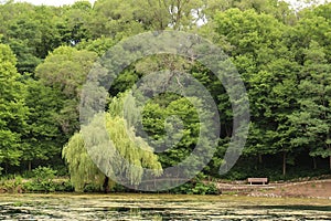 A walking path around a lake in front of a grove of trees at Rotary Botanic Gardens in Janesville, Wisconsin