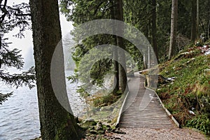 Walking path around the Mummelsee in the Black Forest in Germany