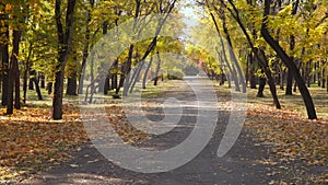 Walking path in the autumn park.