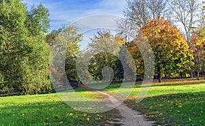 Walking path in the autumn park. Picturesque autumn landscape