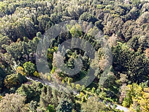 Walking path in autumnal park. aerial photo