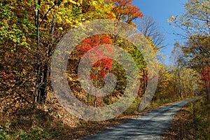 Walking path by colourful hillside