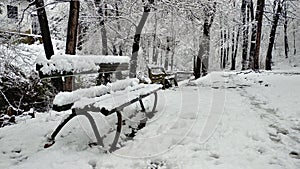 Walking path covered by a snow with sitting benchs