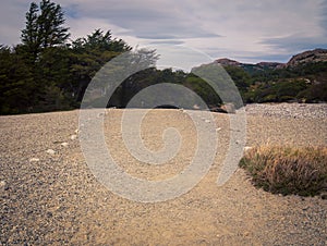 Walking path in El Chalten