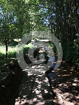 Walking through a path on the fields in the Spanish trail. Beautiful nature all along the road. photo