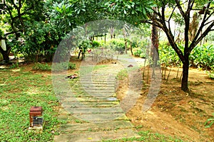 Walking Path in Garden