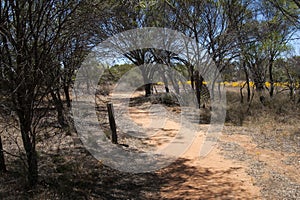 Walking path on the Gnamma Trail