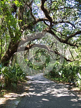 Green Springs Park in Deland, Florida photo