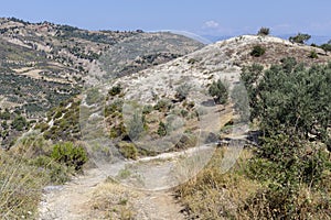 Walking path in the highlands on a summer  sunny day (Achaea  Greece  Peloponnese