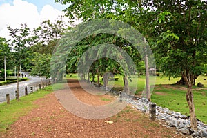 Walking Path in Jedkod Pongkonsao Natural Study and Ecotourism C photo