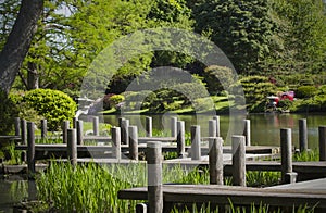 Walking Path and Lake at Japanese Garden