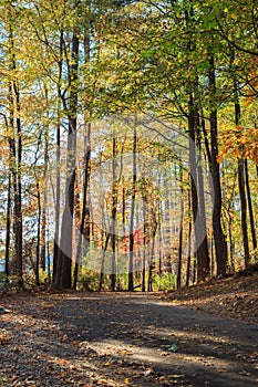 Walking path in Lake johnson park of Raleigh, NC