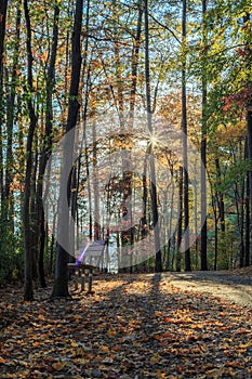 Walking path in Lake johnson park of Raleigh, NC