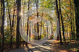 Walking path in Lake johnson park of Raleigh, NC