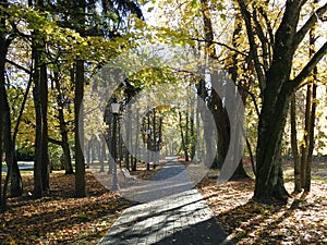 Path , benchand beautiful autumn trees, Lithuania