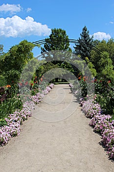 A Walking Path Lined with Petunias, Canna Lilies and Dahlias Leading to a Grassy Tree Park