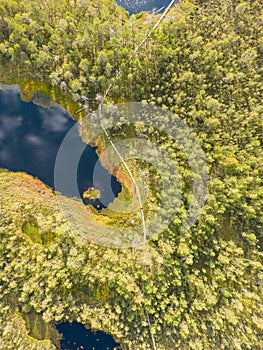 Walking path with little lakes and low vegetation in Viru Bogs, Lahemaa park, Estonia