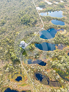 Walking path with little lakes and low vegetation in Viru Bogs, Lahemaa park, Estonia