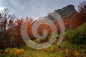 Walking path on a mountain range in autumn in Picos de Europa national park near Puerto de Panderrueda viewpoint, Spain