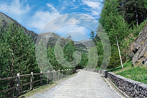 Walking path mountains, summer scene.