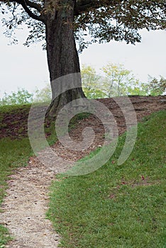 Walking path in nature