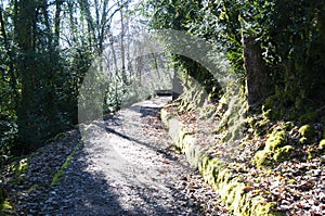 Walking path near Duingt, Savoy